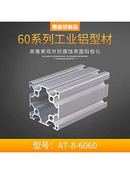 天津歐標6060流水線支架框架